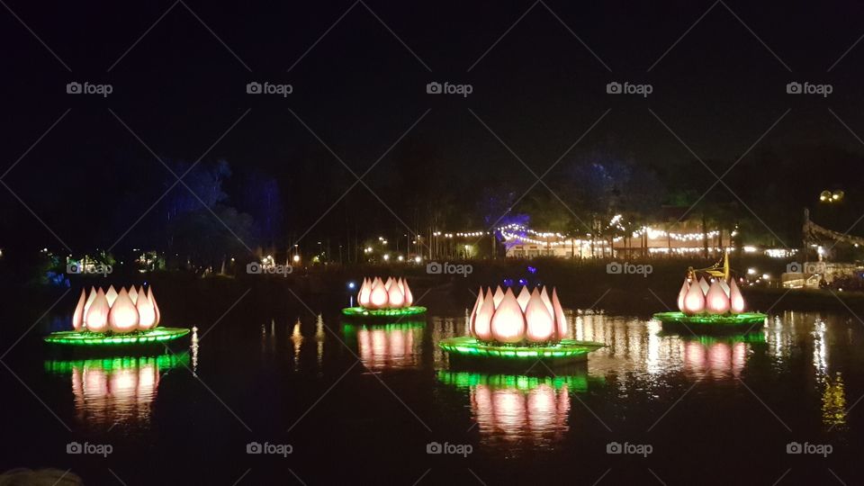 Blooming flowers light up the waters of Discovery River at Animal Kingdom at the Walt Disney World Resort in Orlando, Florida.