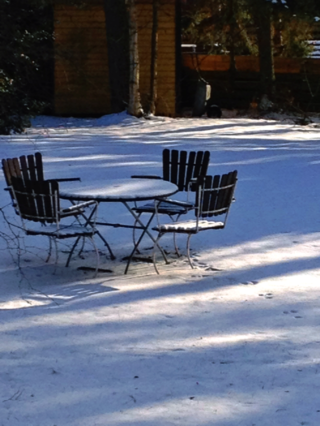 Winterland