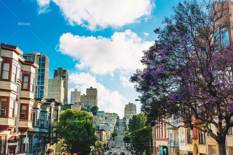 a view of San Francisco