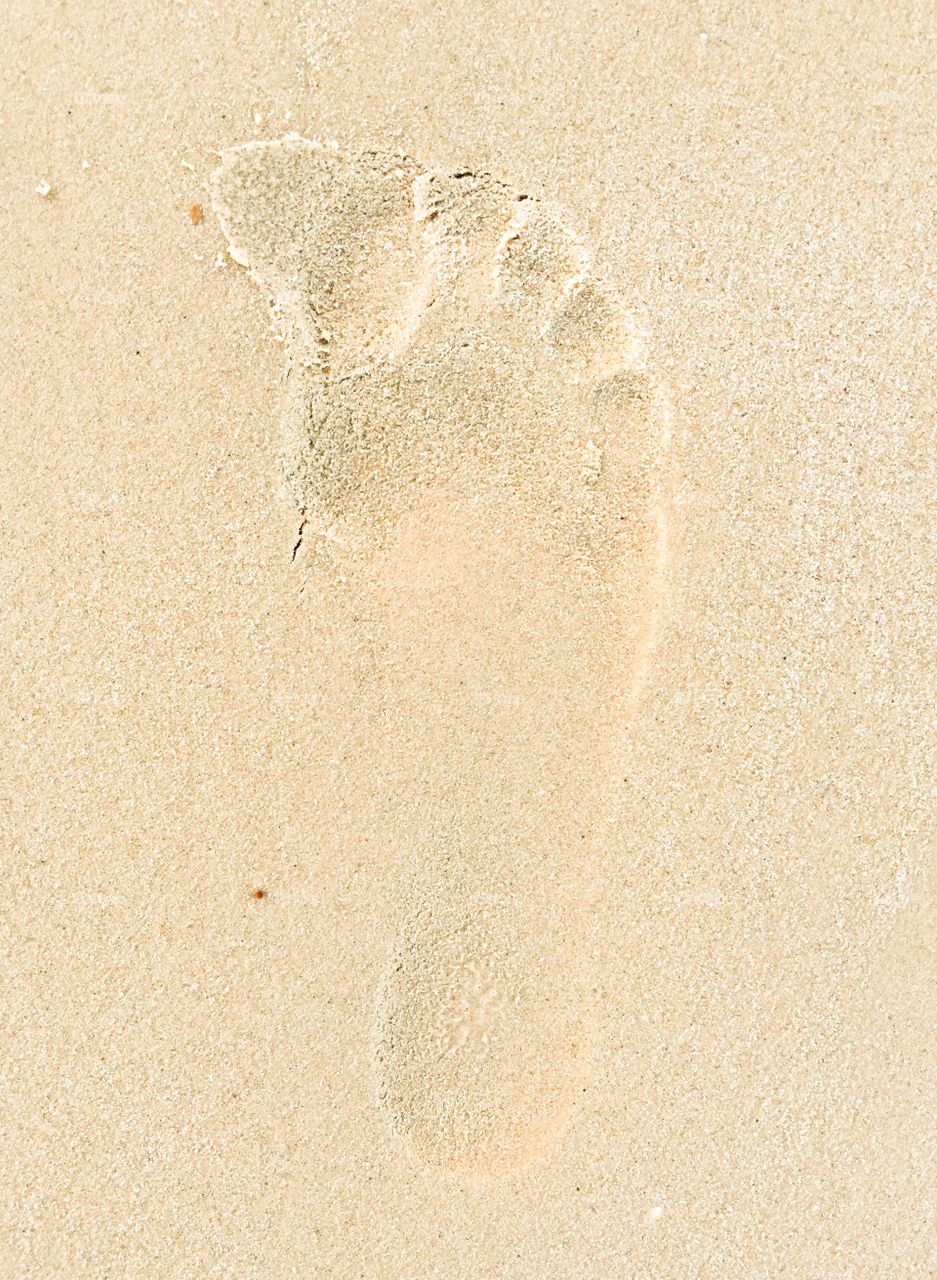 Footprint In The Sand