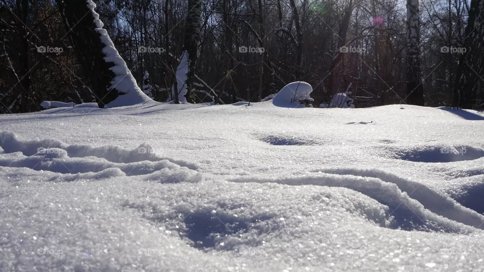 snow