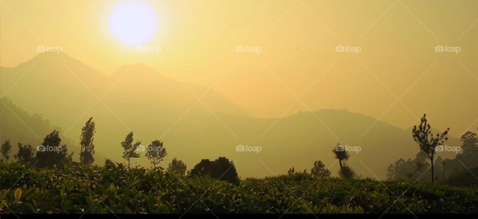 Best Landscape photo, Beautiful sunset