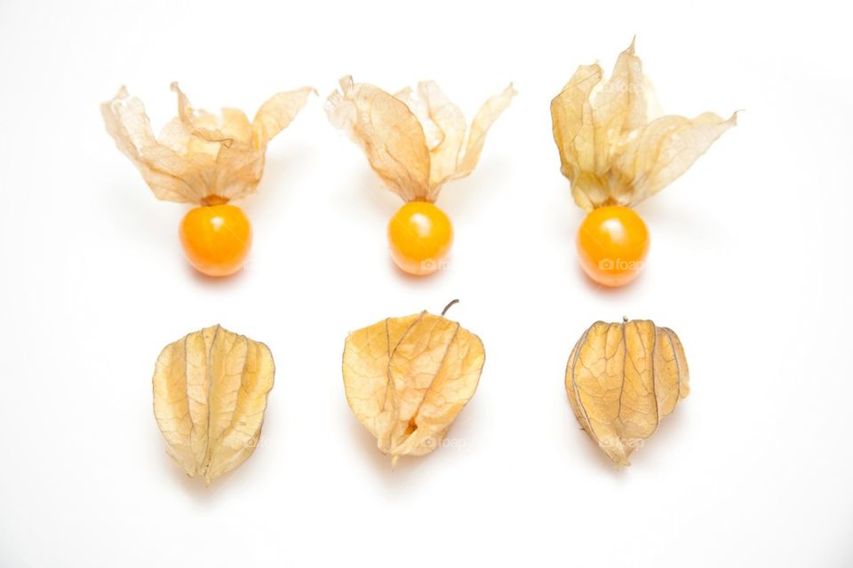Cape gooseberry