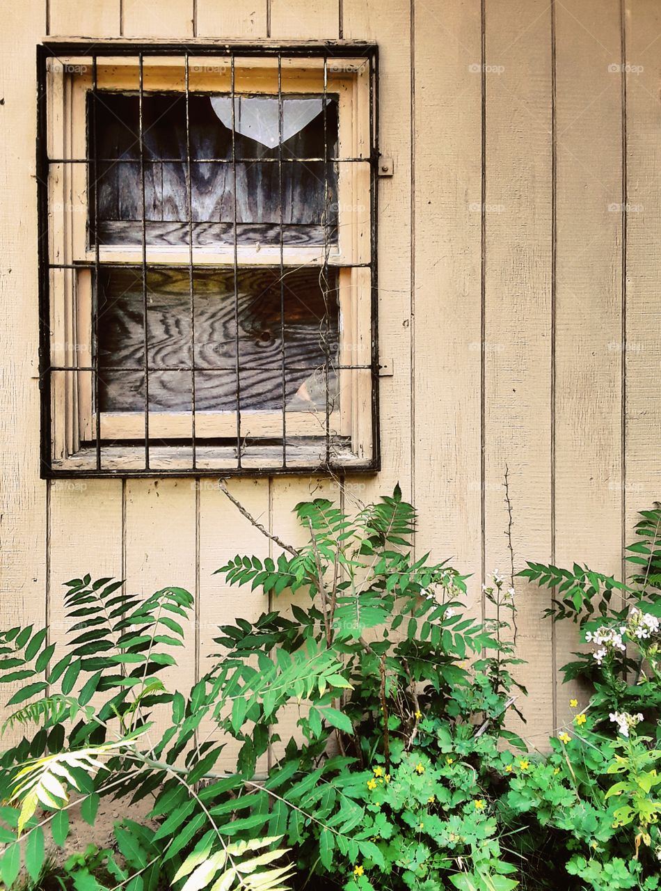 Broken window with bars on it
