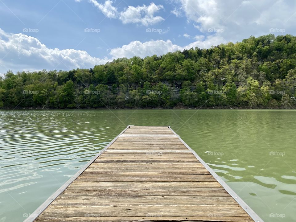 Just sitting on the dock enjoying the sunshine 