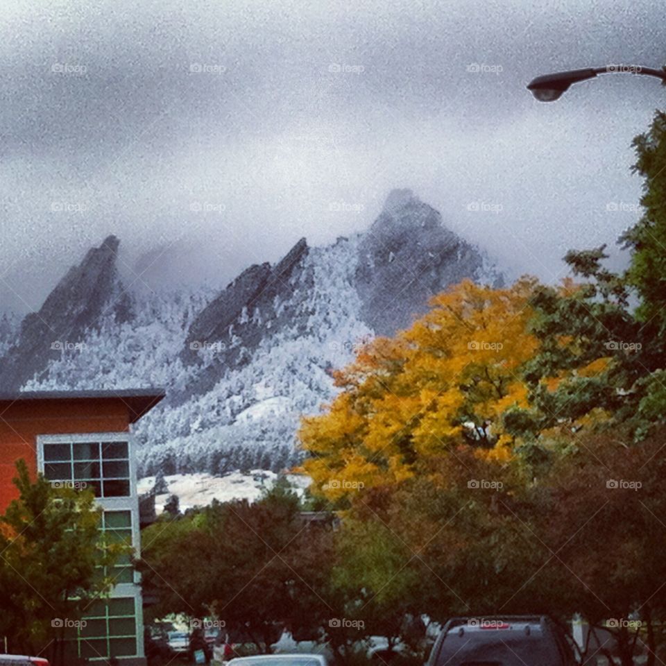 Fall over the flat irons 