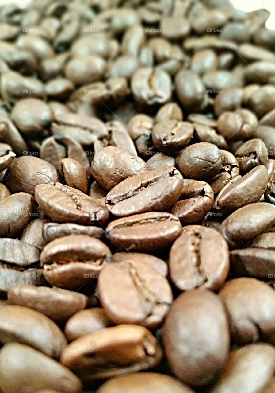 closeup of coffee beans
