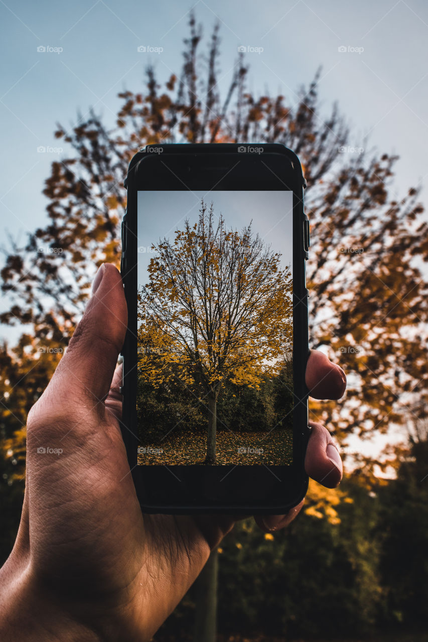 Picture of phone taking picture during fall