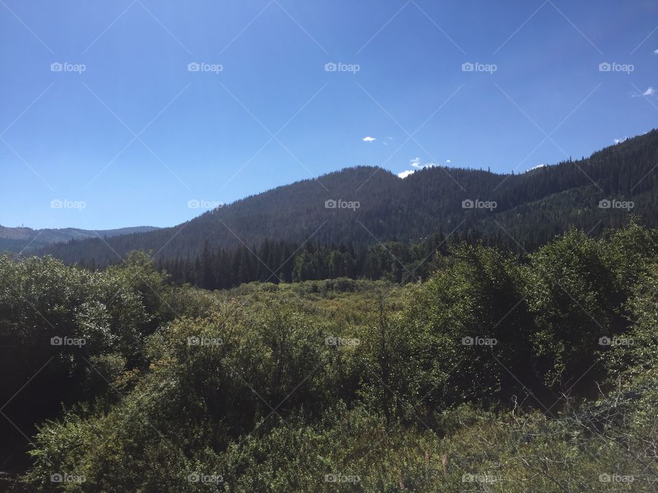 Landscape, Mountain, Tree, No Person, Travel