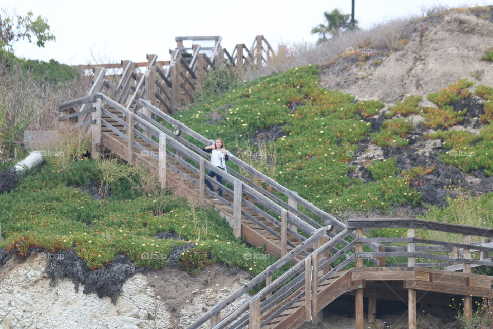 Stair climber