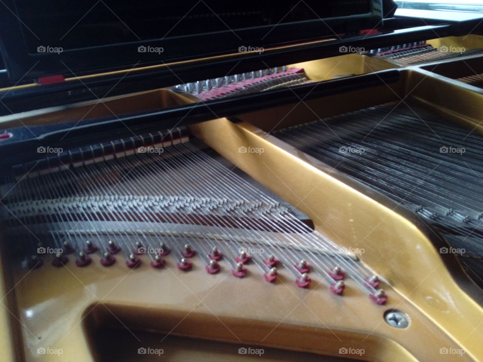 Inside a Piano