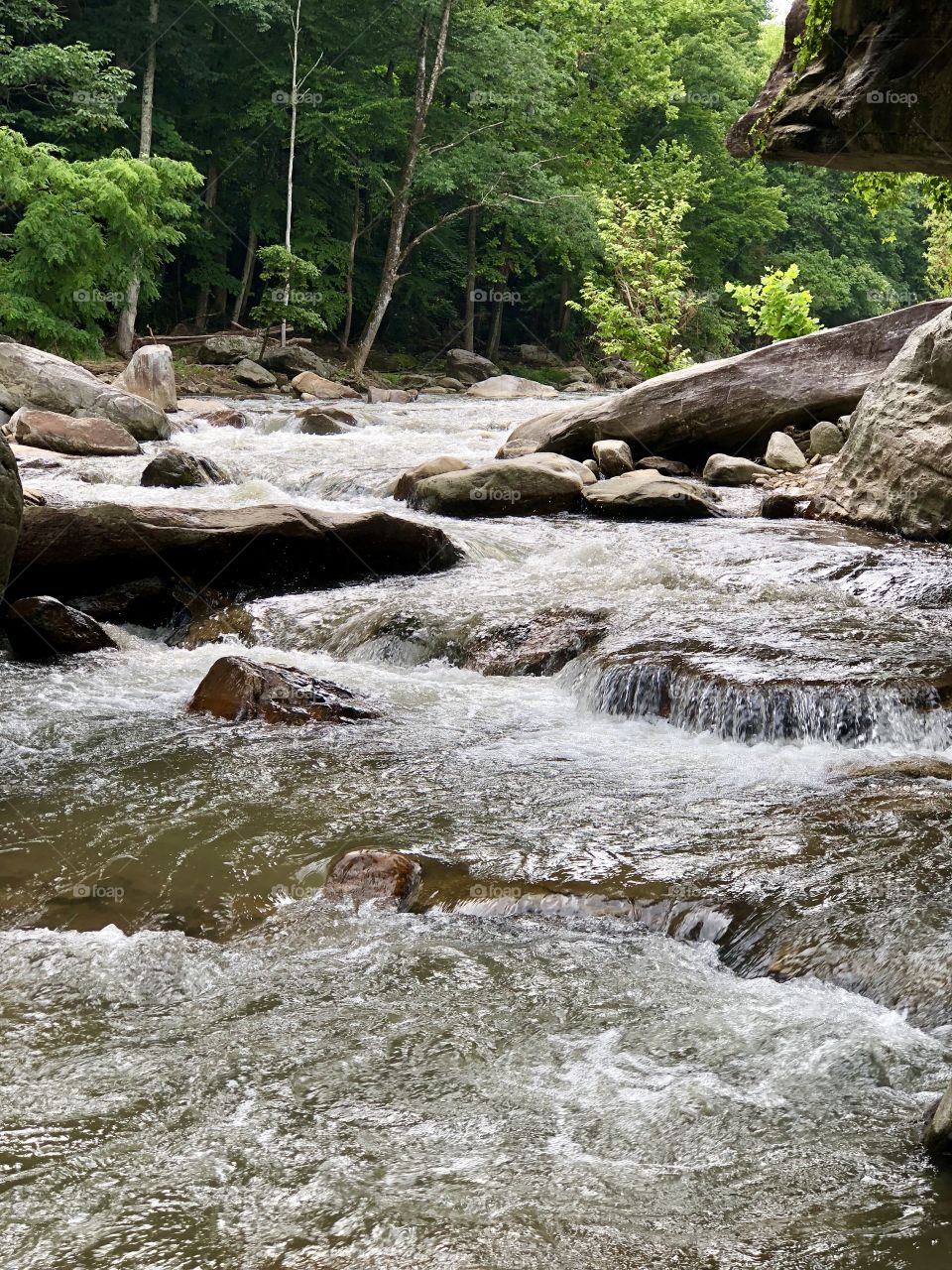 River over the rocks