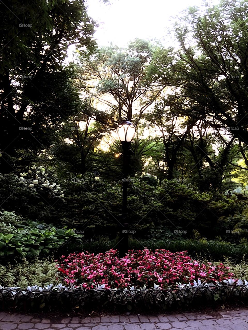 Olmsted Flower Bed- Central Park, New York City. Instagram, @PennyPeronto
