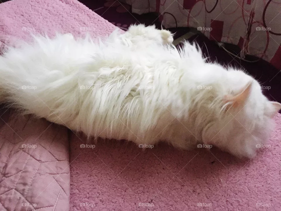 Lying down