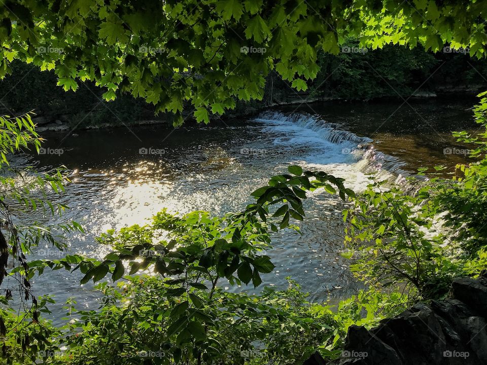 Walk along the creek