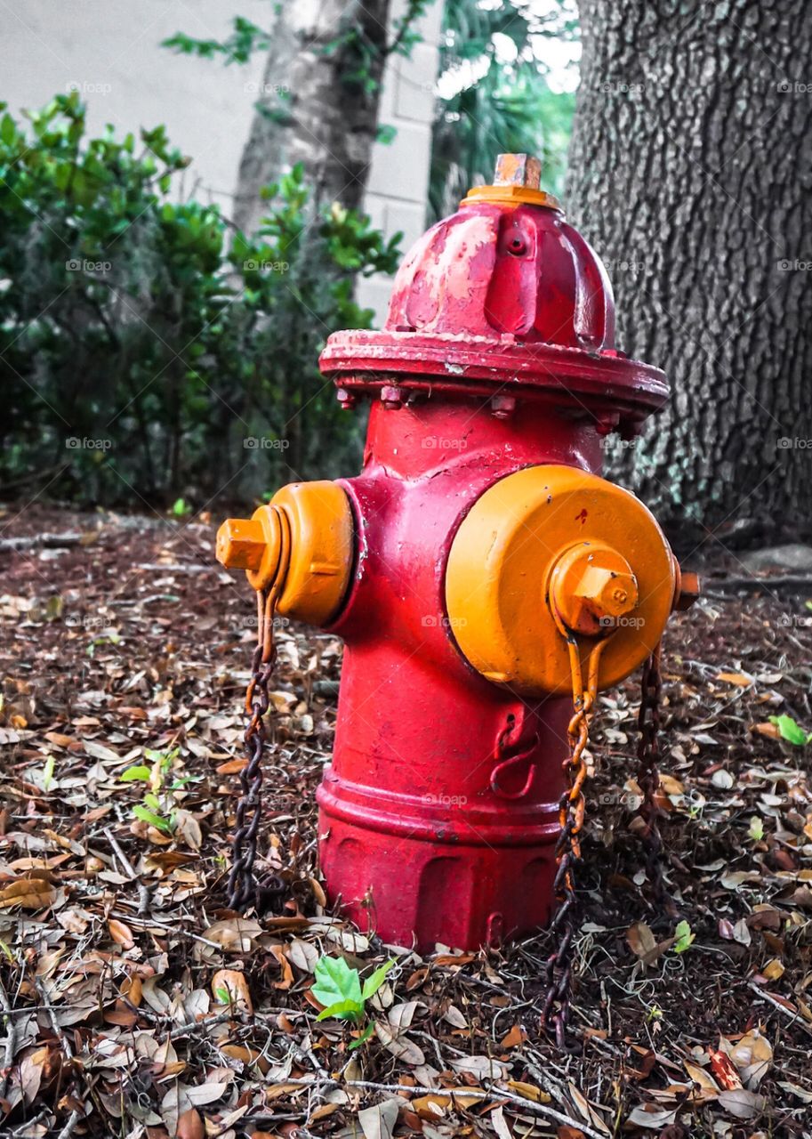 This red and orange fire hydrant sits in the dried leaves on a summer day. 
