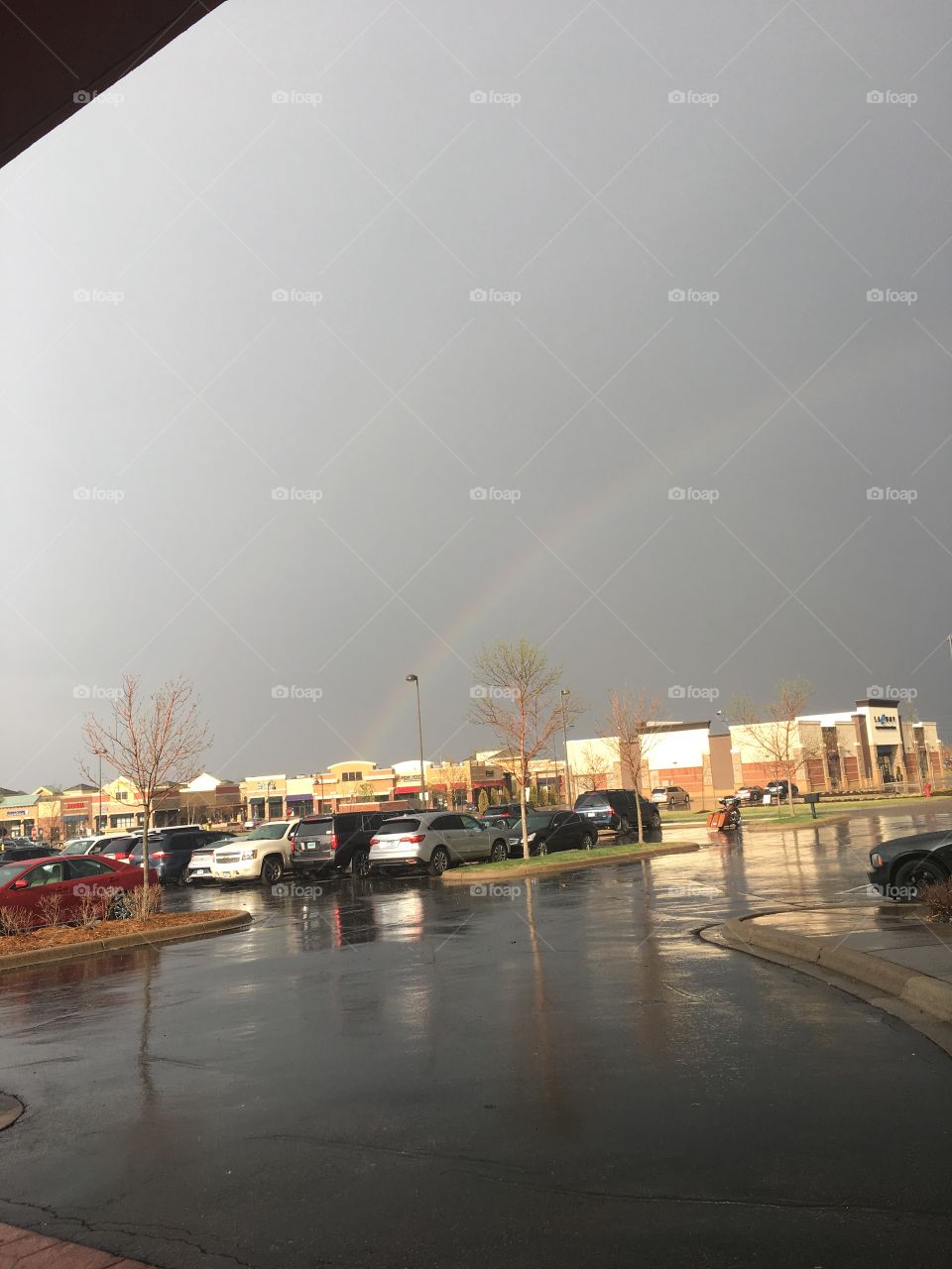 Rainy day rainbow 