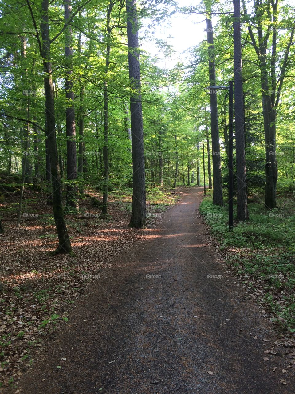 Path in Ronneby Brunn 
