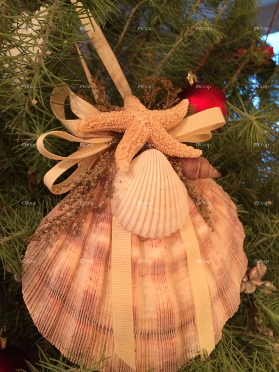 Giant clam ornament