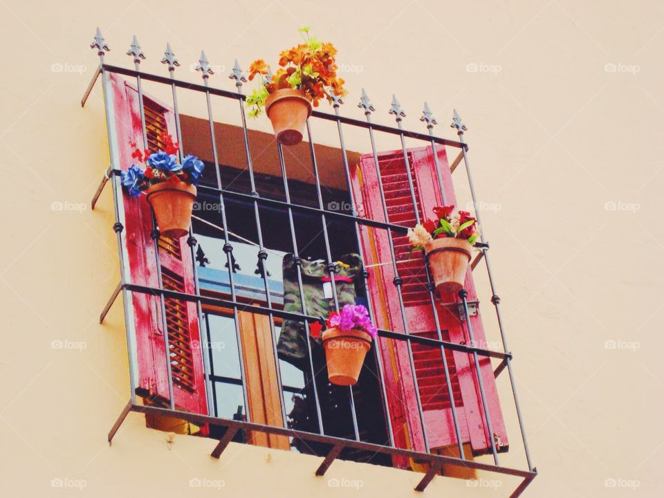 Flowers in a window. Window in Buenos Aires, Argentina 