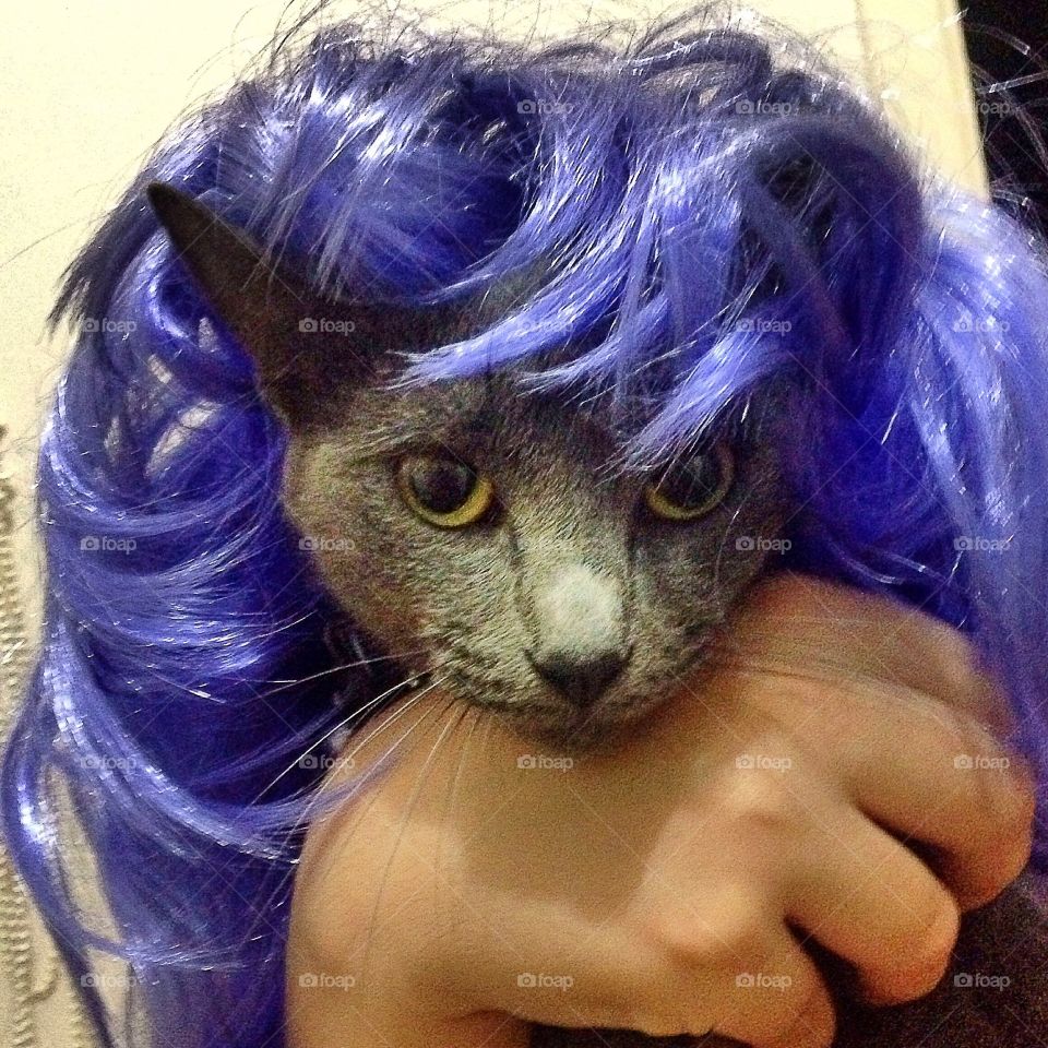 Purple wig for carnival 
