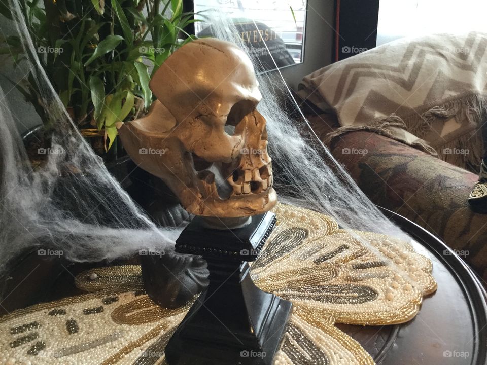 Human Skull on display 