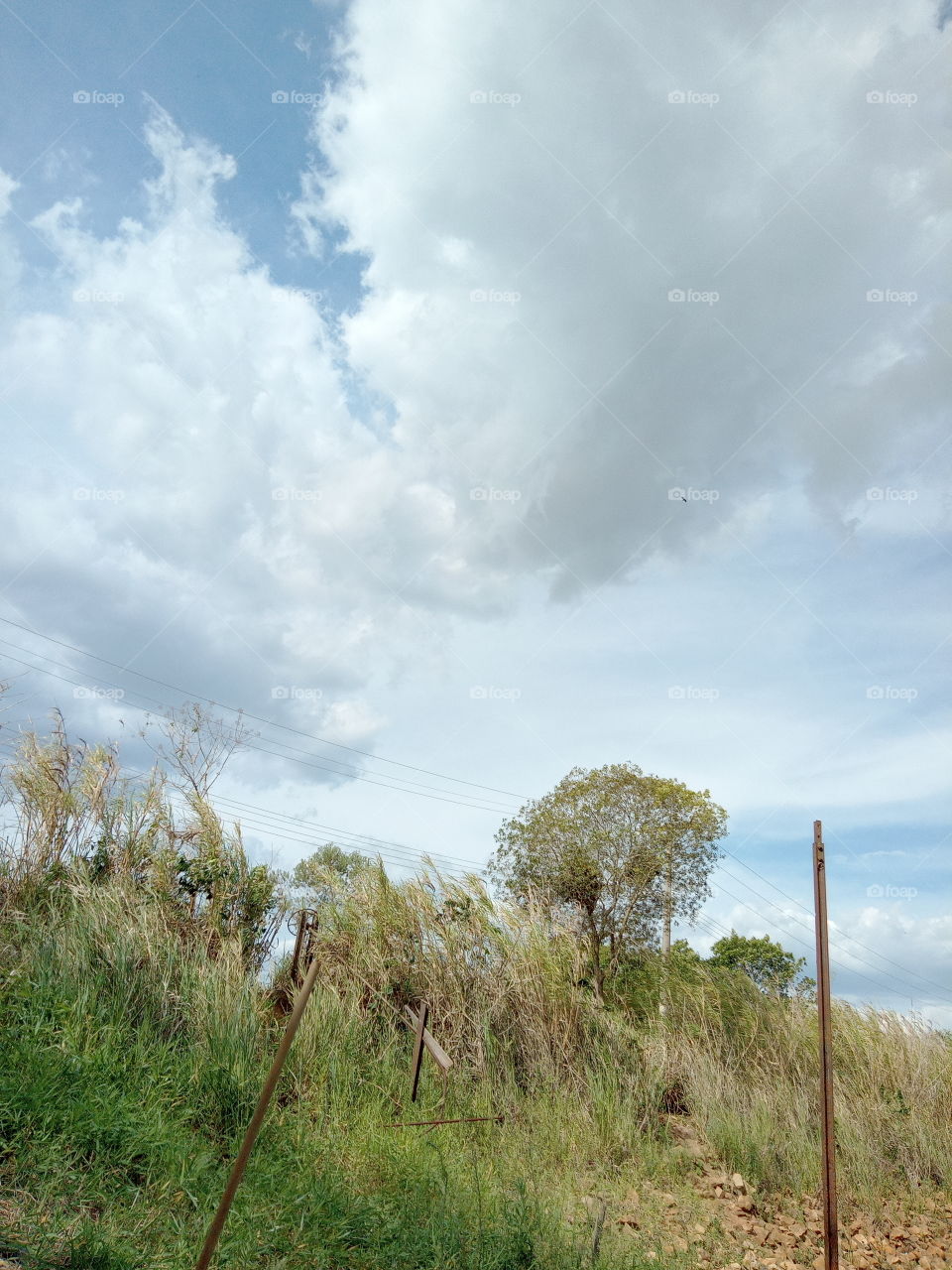 Editors'Choice Photo of the week