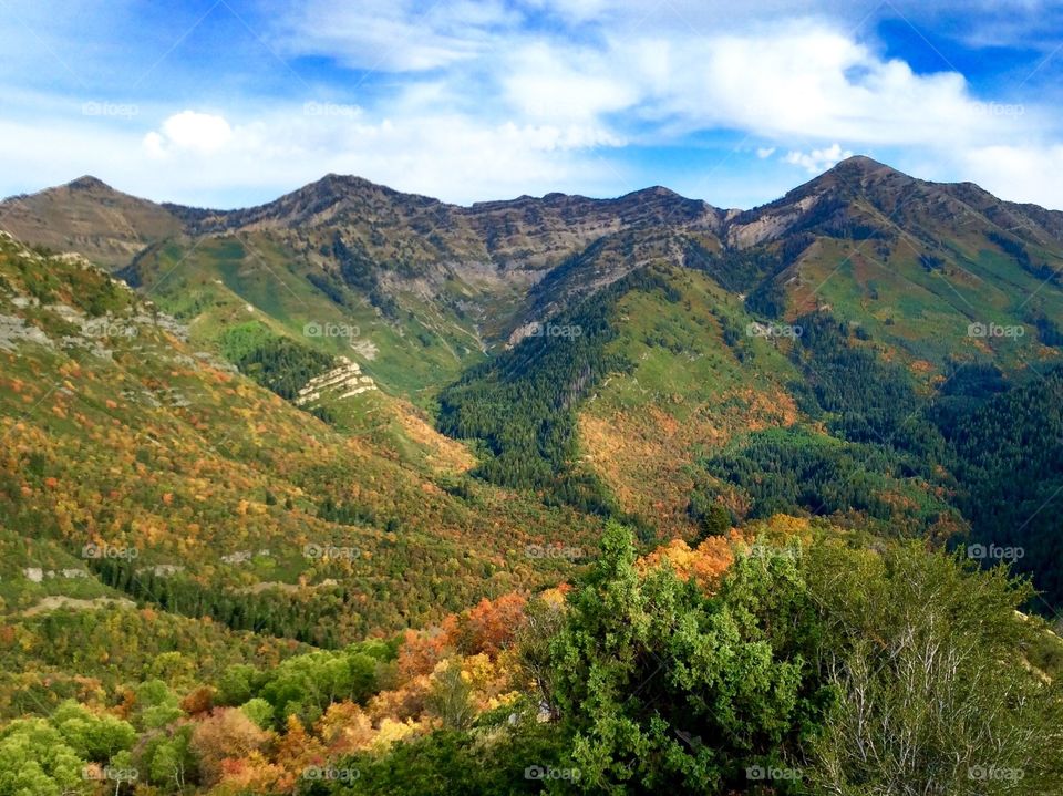 Squaw Peak Valley Hike