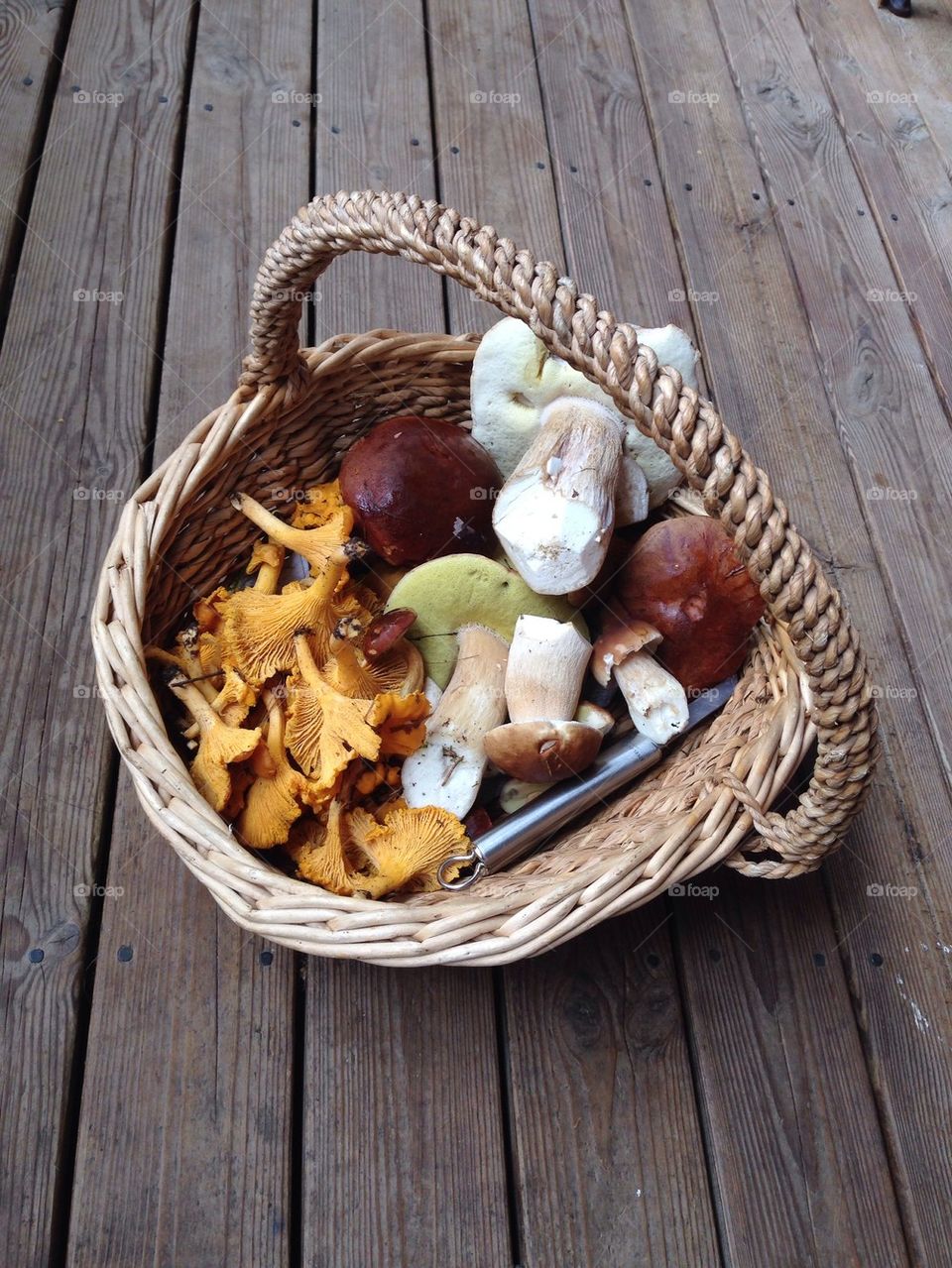 Mushroom basket autumn 