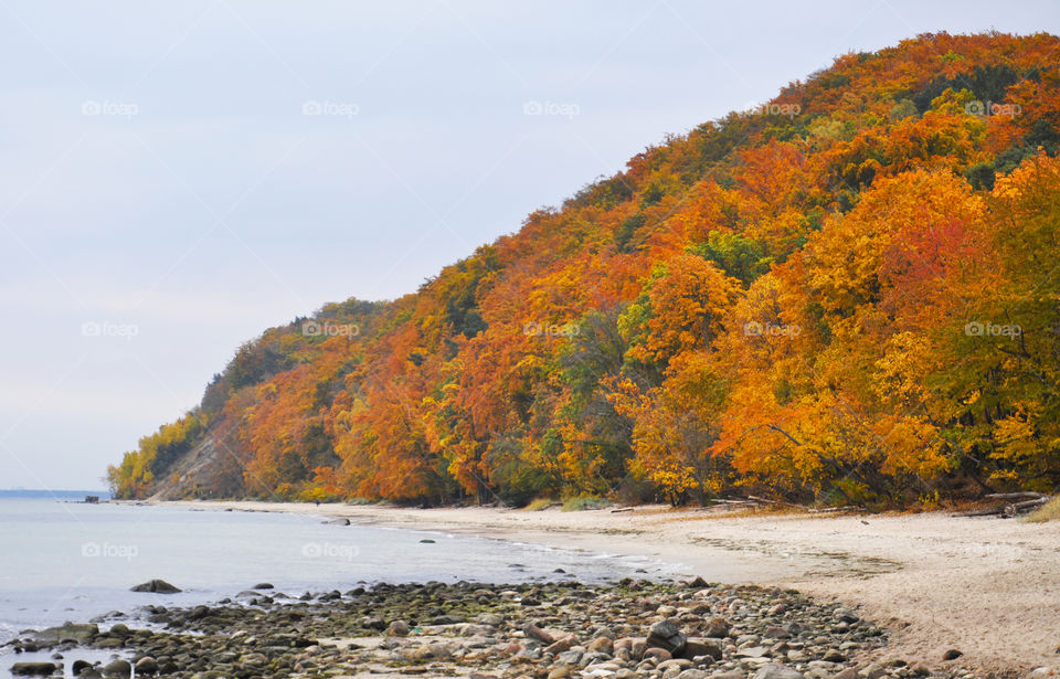 Autumn beach at Baltic Sea