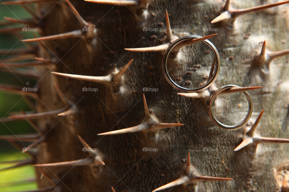 cactus ring wedding thorn by malanis