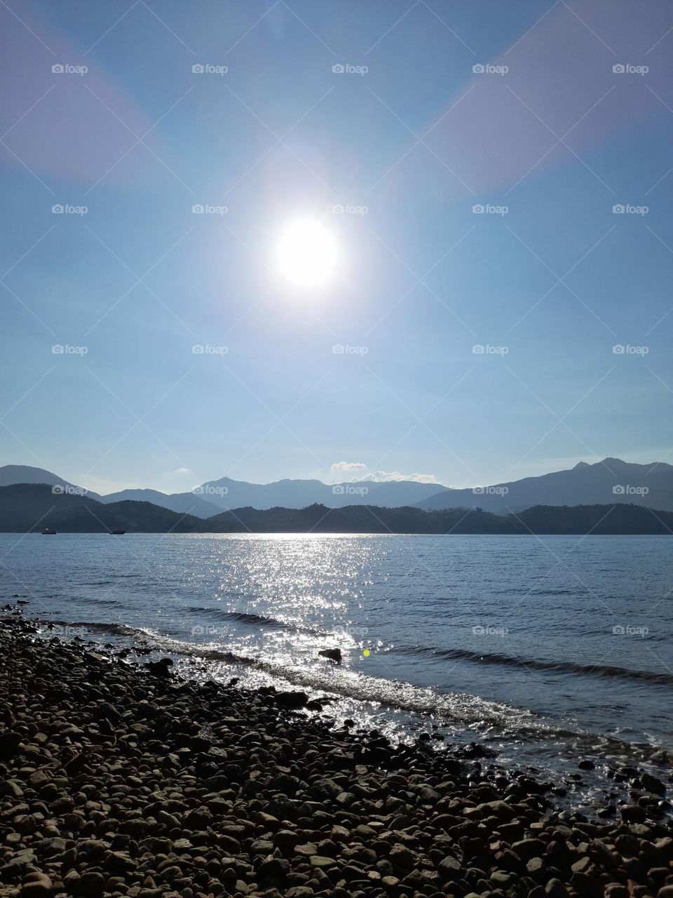 scenery on sunny day