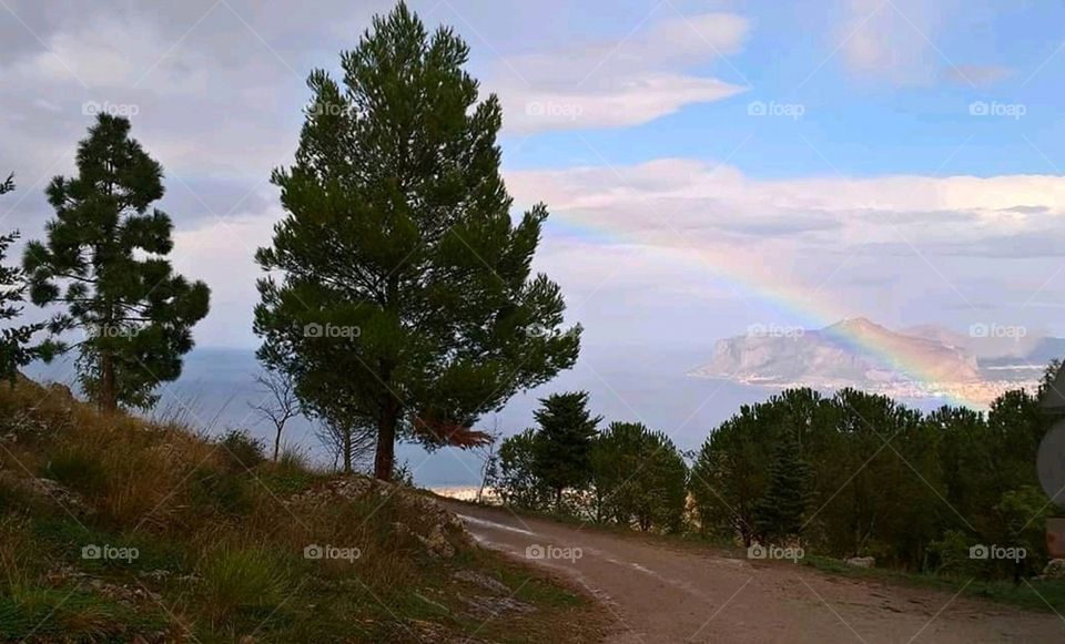 Panorami di montagna