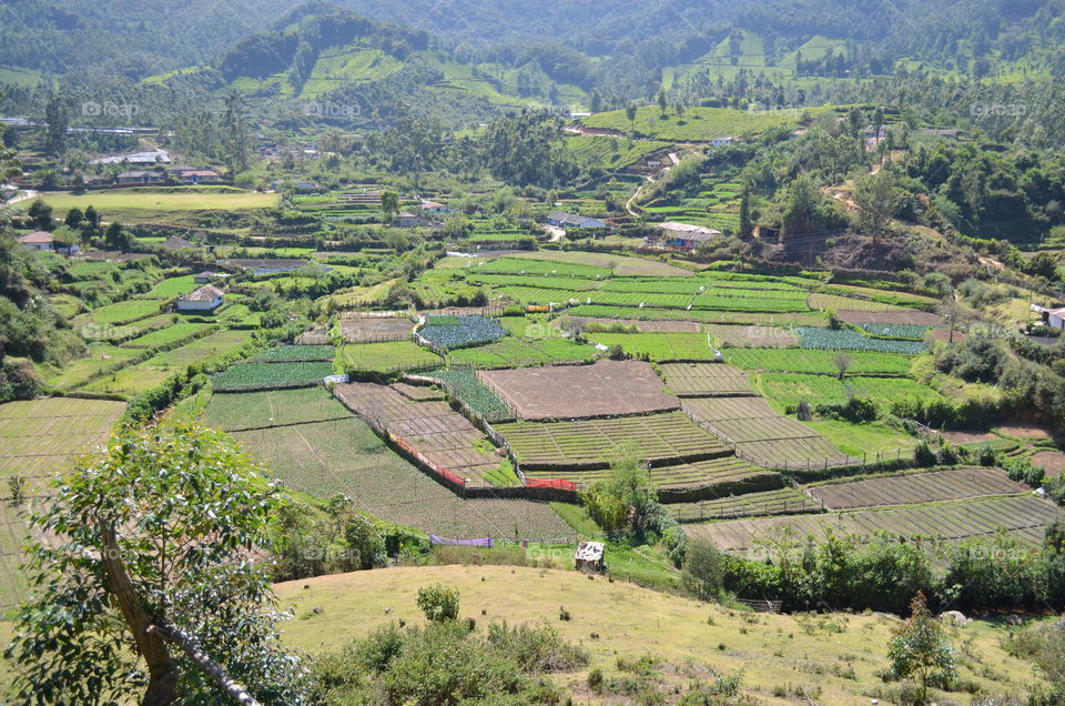 Valley of agriculture