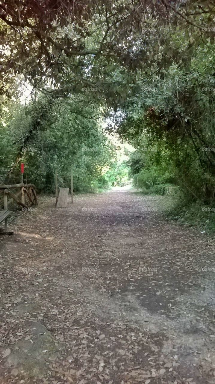 mother nature's Face