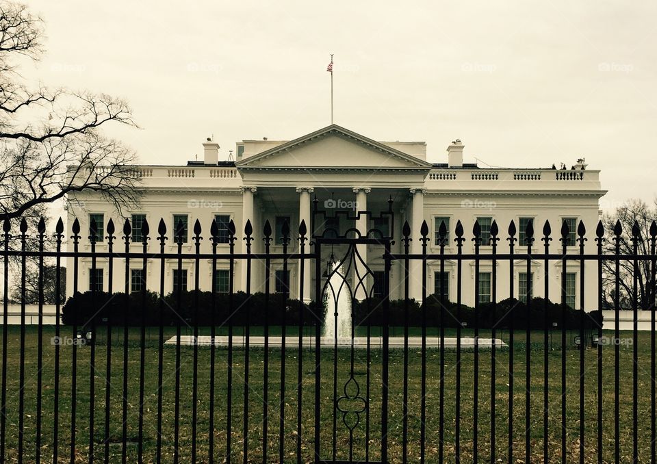 White House . White House 