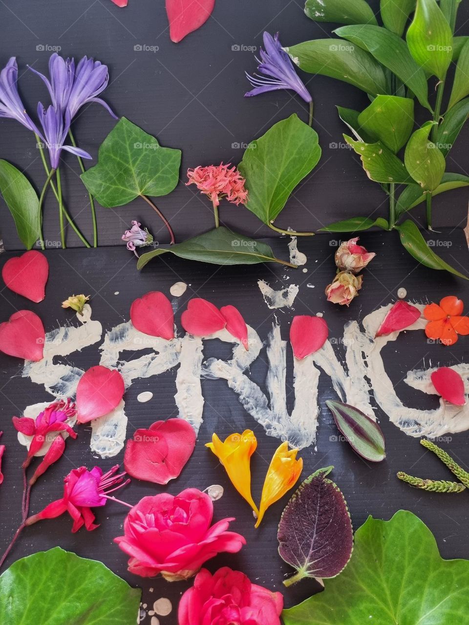 Hello spring and colors!