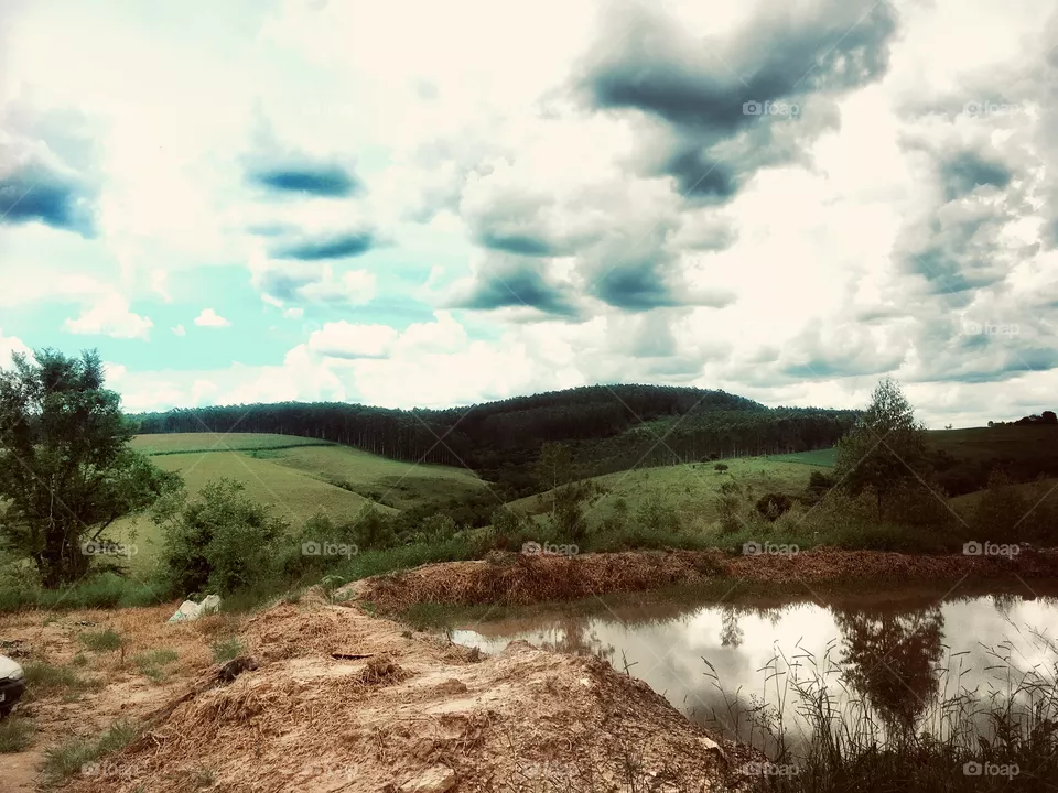 Natureza 