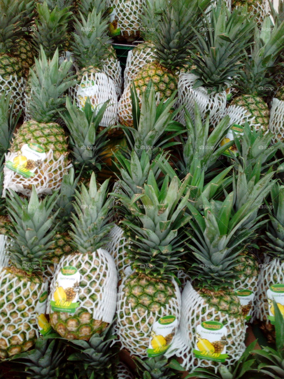 Pineapples