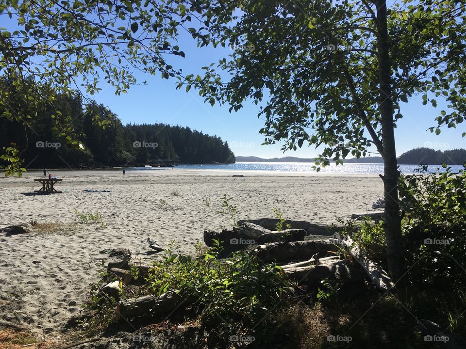 Private Beach in British Columbia Canada