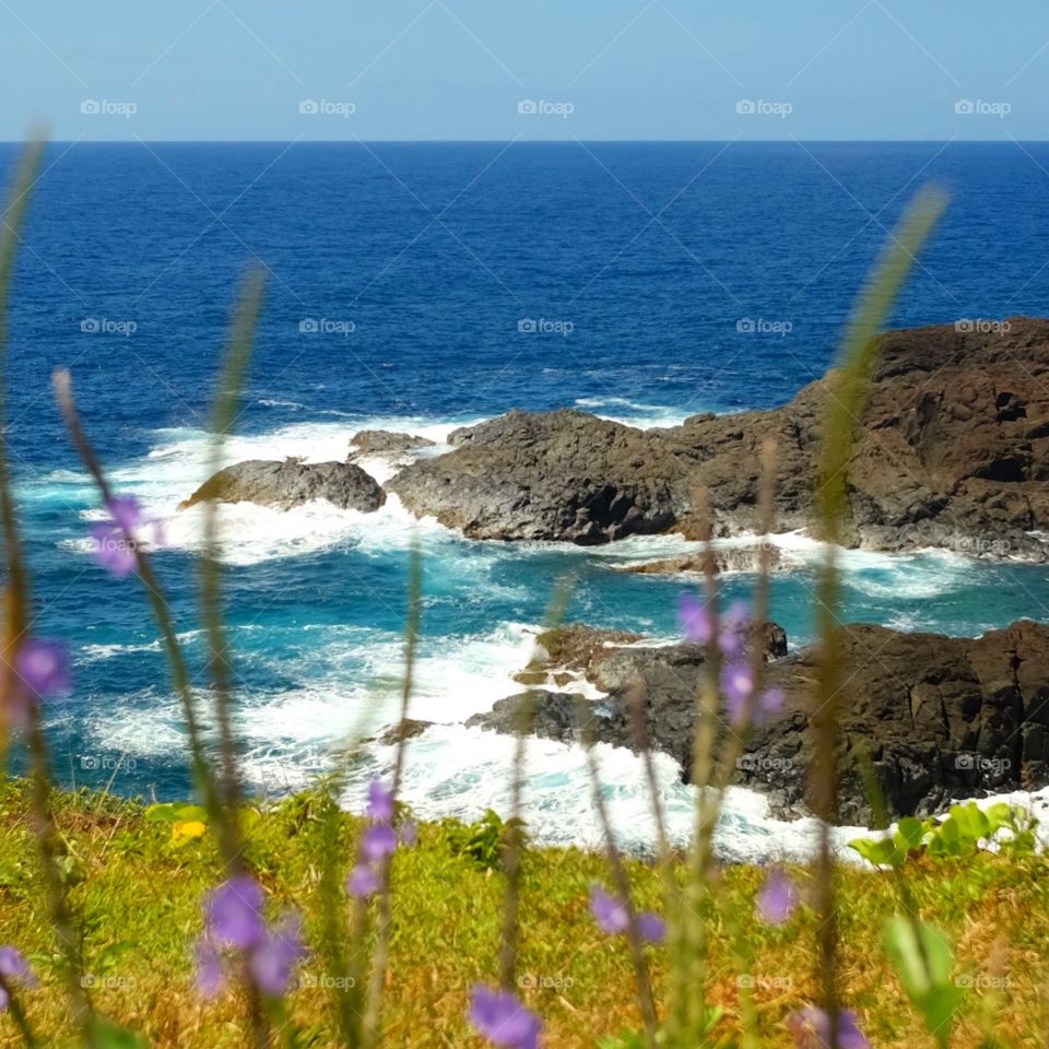 Cliff side landscape 