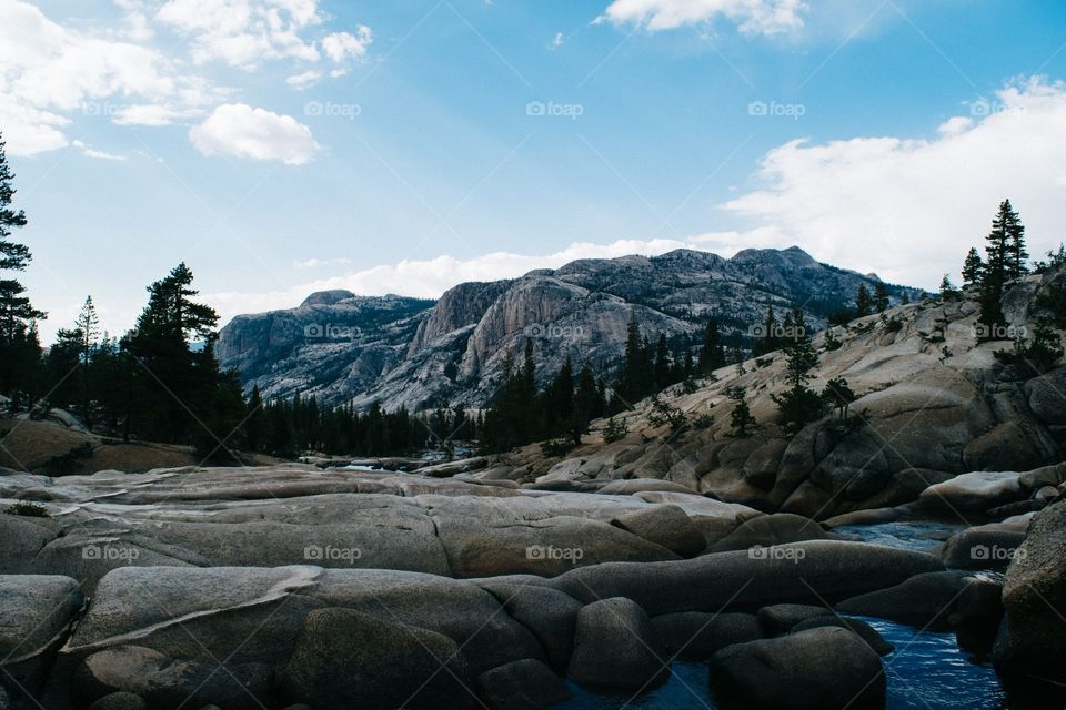 Summer at Yosemite National Park
