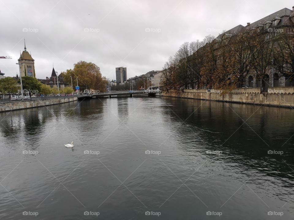 Zurich Switzerland lake panorama in autumn