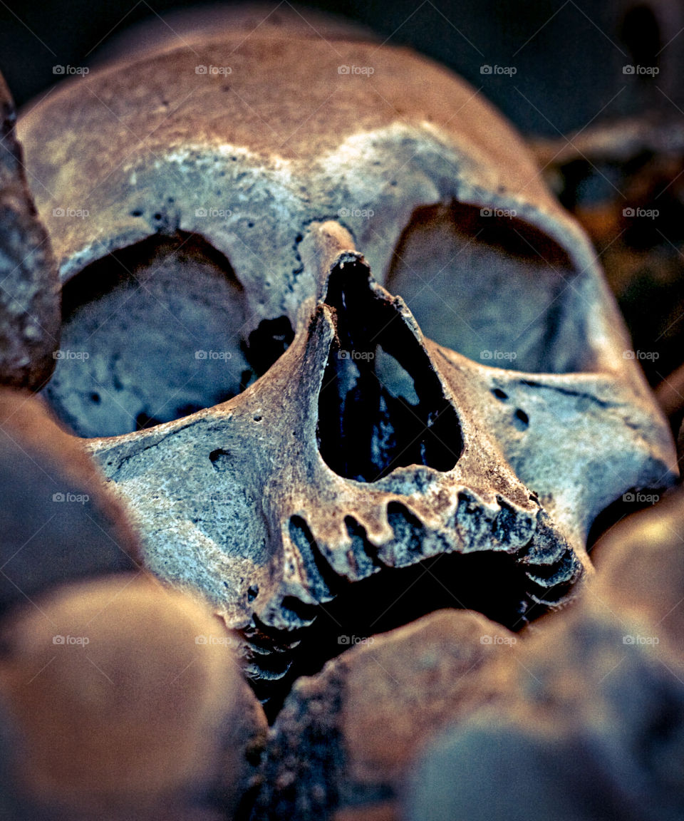 A human skull appears to look upwards, the mouth in a pained scream