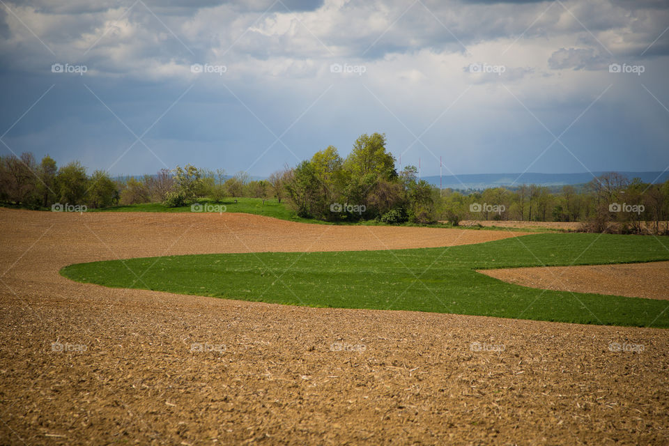 Farm Landscape