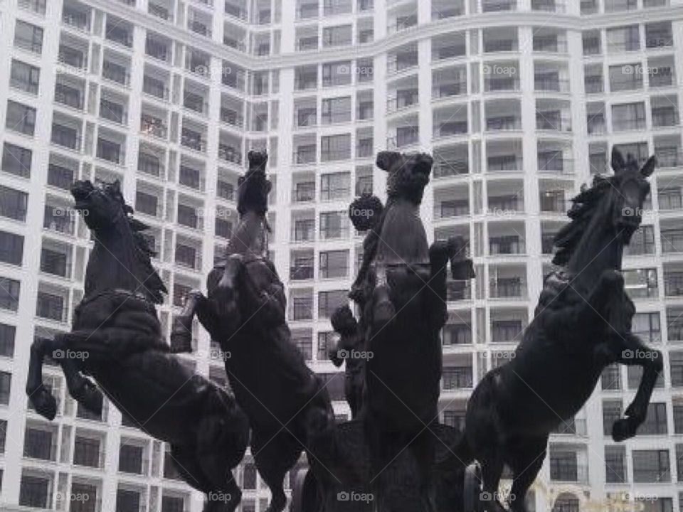Horses and windows 
