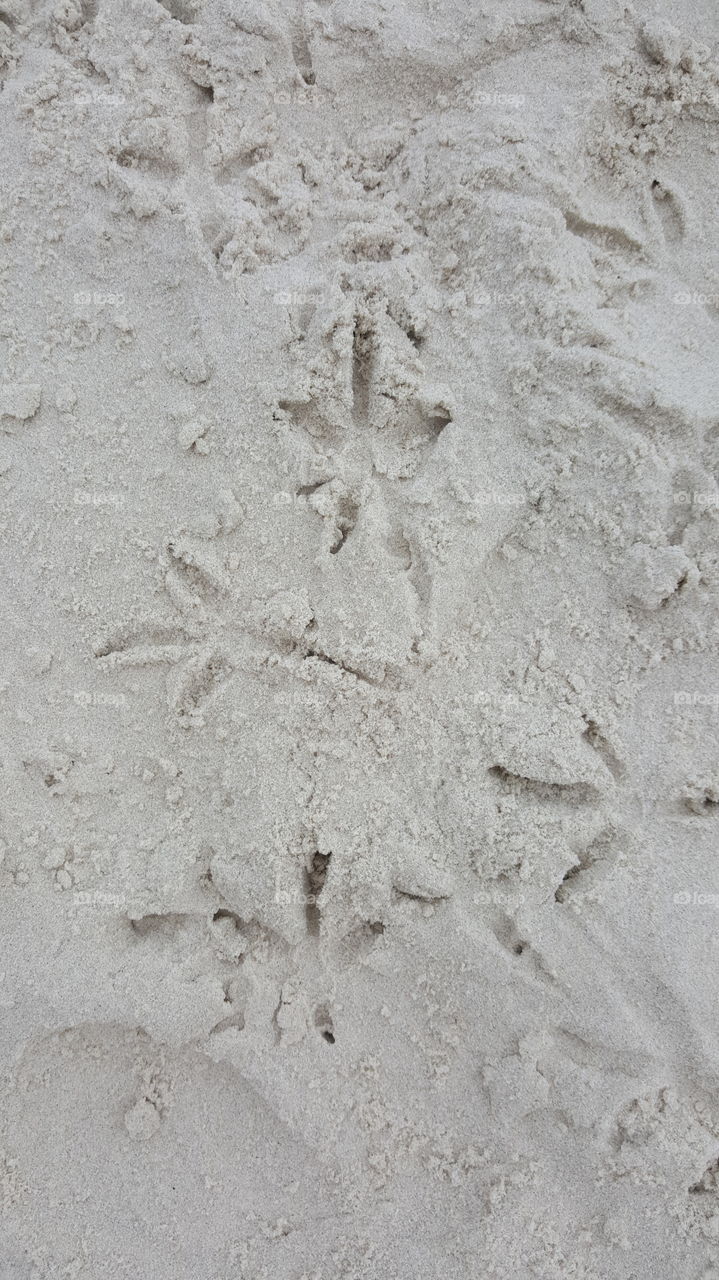 Foot on the sand