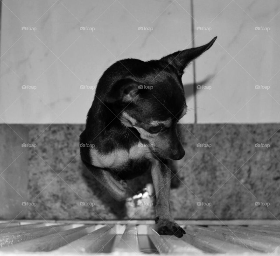 How do we name love?