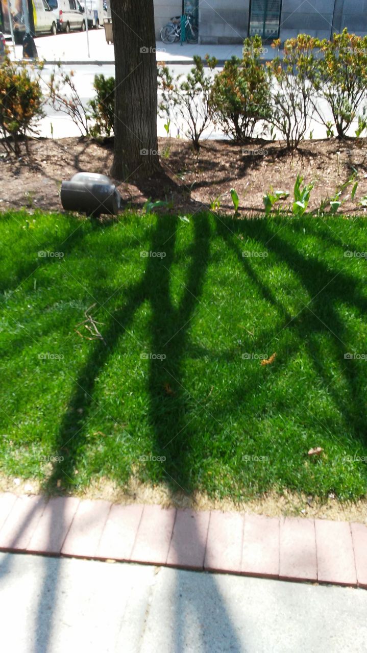 spring. fresh. green. beauty