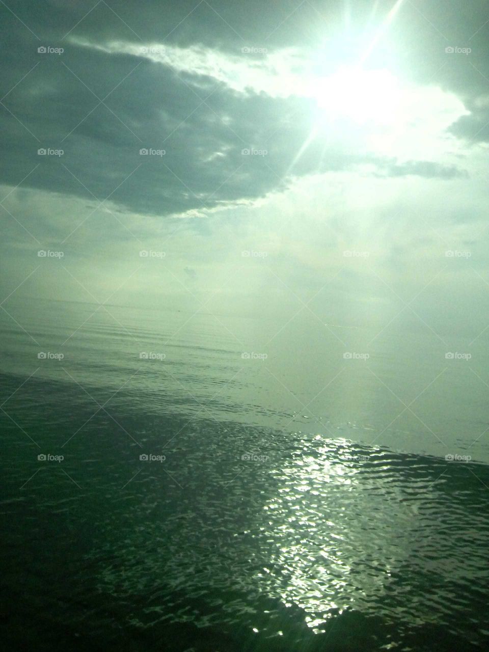 what a wonderful picture it is all natural with the beautiful sunlight an wonderful sunlight